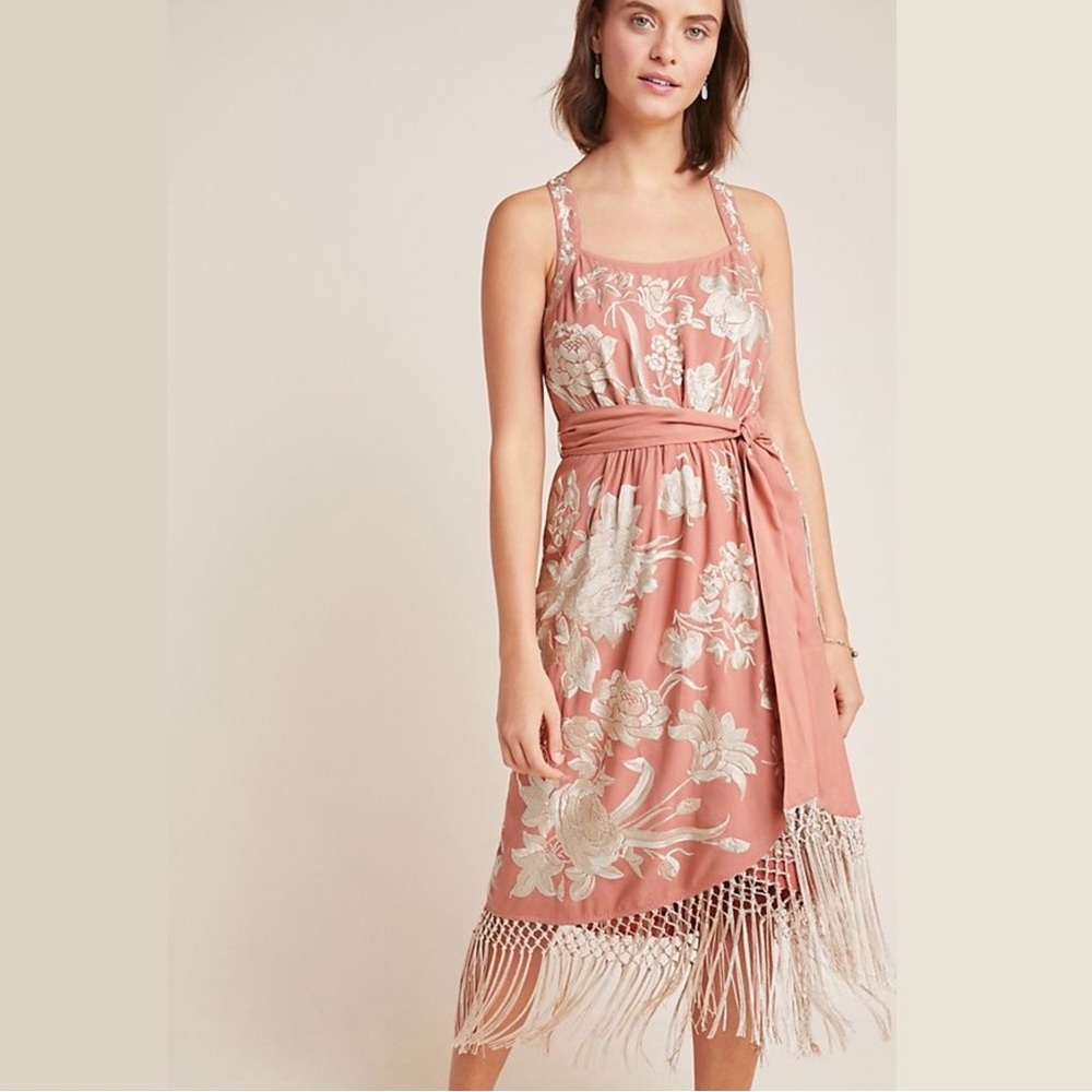 NWT Anthropologie Pink Lucille Dress